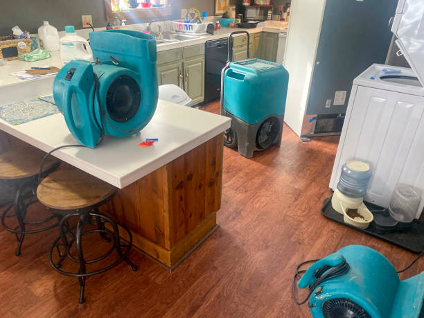 Best Professional water damage repair  in Lake Forest, IL