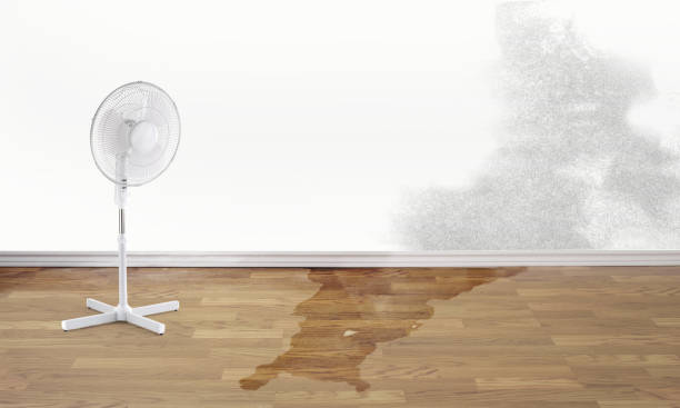 Best Residential water damage restoration  in Lake Forest, IL