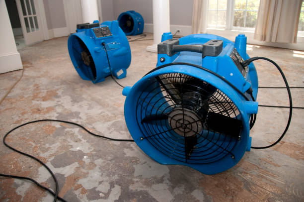 Best Basement water damage restoration  in Lake Forest, IL