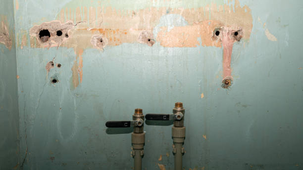 Best Carpet water damage restoration  in Lake Forest, IL