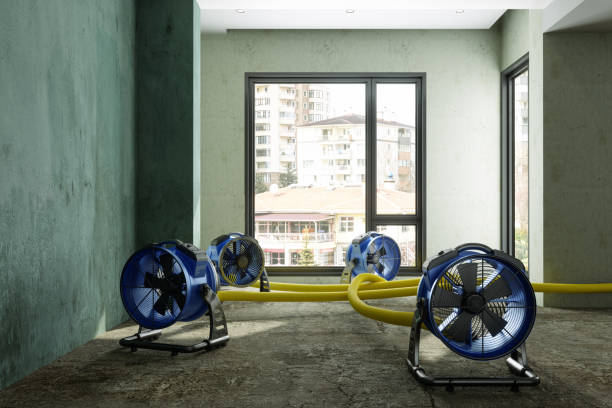 Best Flood damage cleanup  in Lake Forest, IL